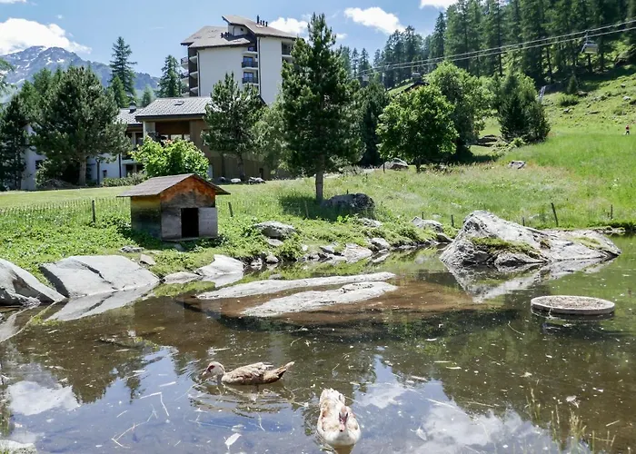 Mont 55 By Interhome アパート ジヴィウ